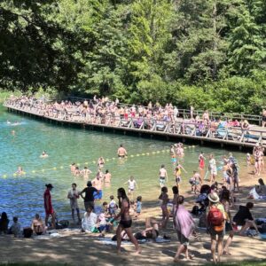 Dienos stovykla (16)